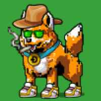 DogePunks #780