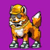 DogePunks #1096