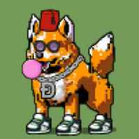 DogePunks #1899