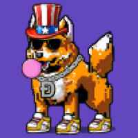 DogePunks #3264