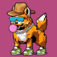 DogePunks #3035
