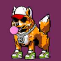 DogePunks #3107
