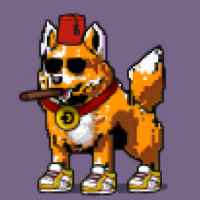DogePunks #782