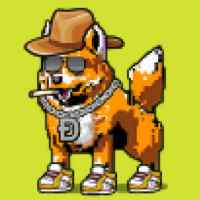 DogePunks #1999