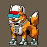 DogePunks #148