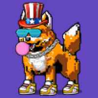 DogePunks #2444
