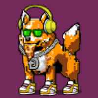DogePunks #4591