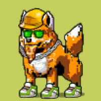 DogePunks #3372
