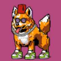 DogePunks #3651