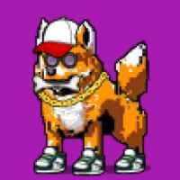 DogePunks #4580