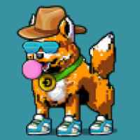 DogePunks #453