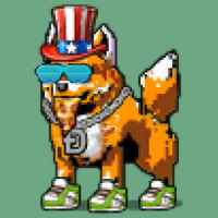 DogePunks #467