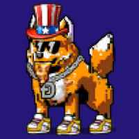 DogePunks #313