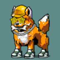 DogePunks #668
