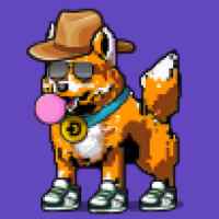 DogePunks #486