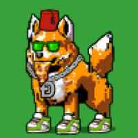 DogePunks #4060