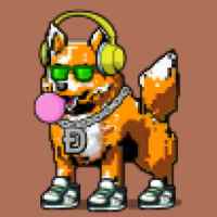 DogePunks #2029