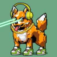 DogePunks #2772
