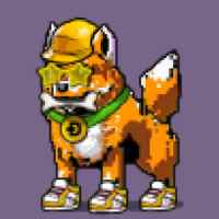 DogePunks #754