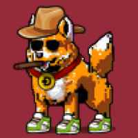 DogePunks #1886