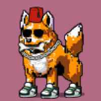 DogePunks #1051