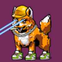 DogePunks #2405