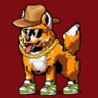 DogePunks #3246