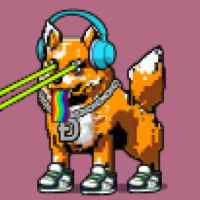 DogePunks #4856