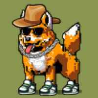 DogePunks #785