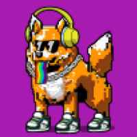 DogePunks #4934