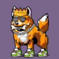DogePunks #2639