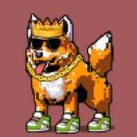 DogePunks #1161