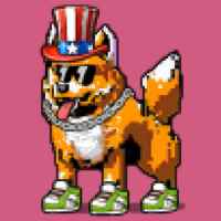 DogePunks #2098