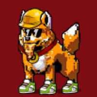 DogePunks #1037
