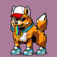 DogePunks #1805