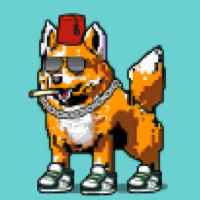 DogePunks #110