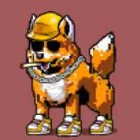 DogePunks #272