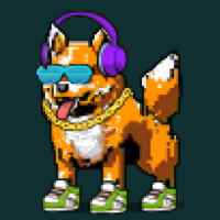 DogePunks #3434