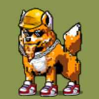 DogePunks #1309