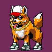 DogePunks #1146