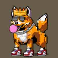 DogePunks #2202