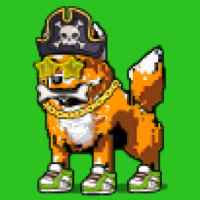 DogePunks #1454
