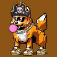 DogePunks #1162