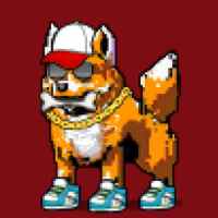DogePunks #620