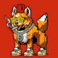 DogePunks #2452