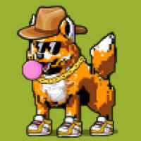 DogePunks #4214