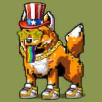 DogePunks #686