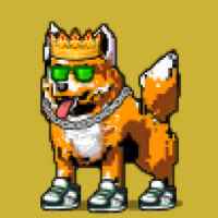 DogePunks #3575