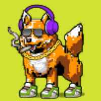 DogePunks #820