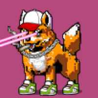 DogePunks #2066